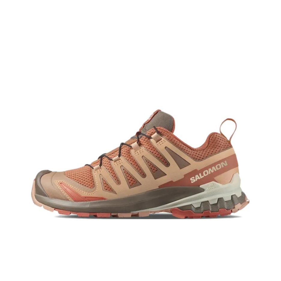 SALOMON XA Pro 3D V9 Komfortab – Salomon Shoes Xa Pro 3D Bewertung und Preis