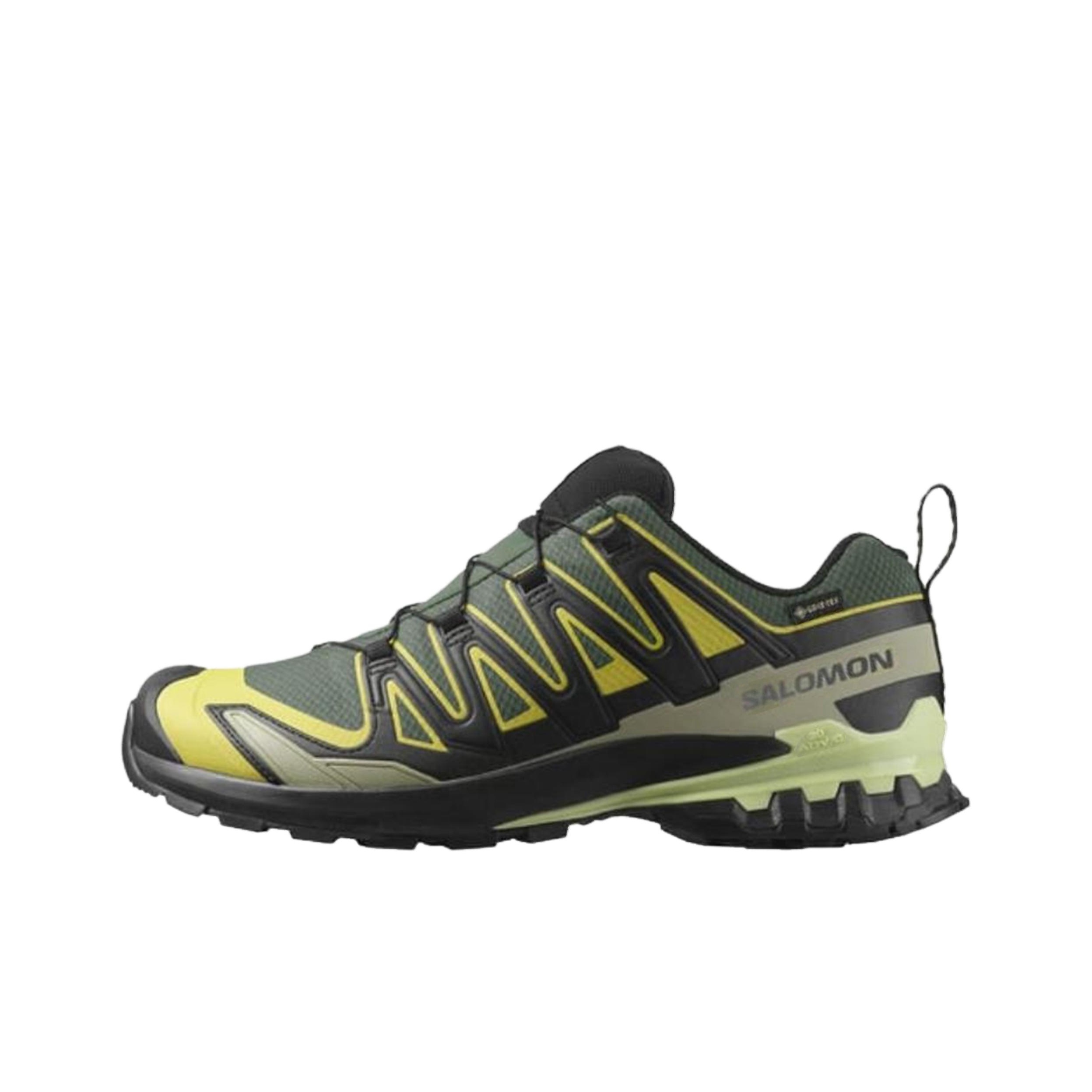 SALOMON XA Pro 3D V9 Laufschuh – Salomon Shoes Xa Pro 3D Bewertung und Preis