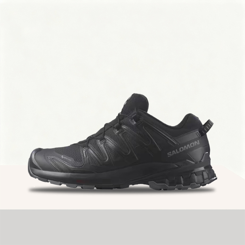 Salomon XA Pro 3D V9 GTX: Stil – Salomon Shoes Xa Pro 3D Bewertung und Preis