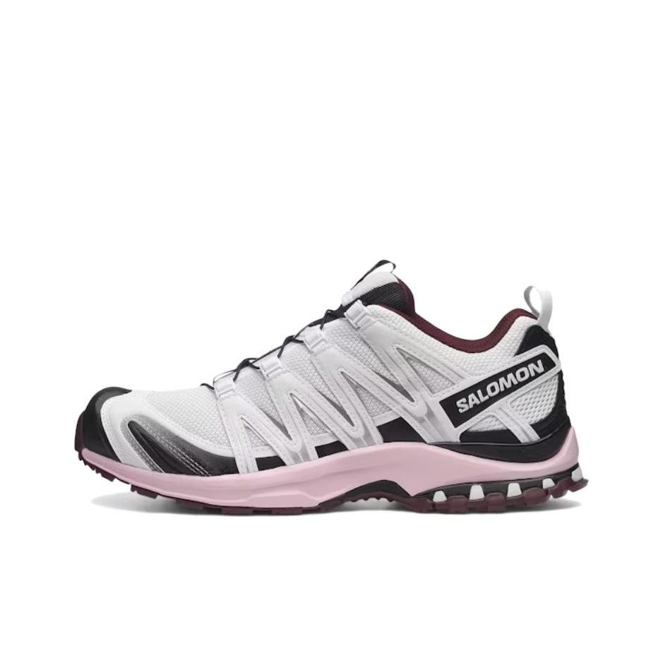 SALOMON XA PRO 3D Casual-Laufs – Salomon Shoes Xa Pro 3D Bewertung und Preis